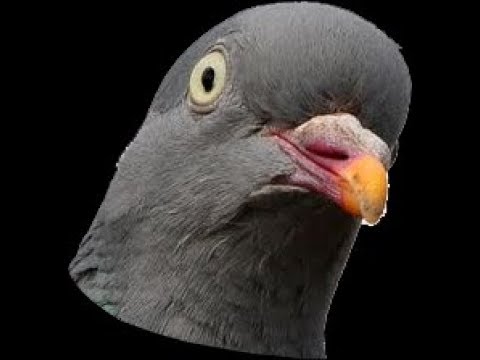another test stream?? wtf, kaj?
