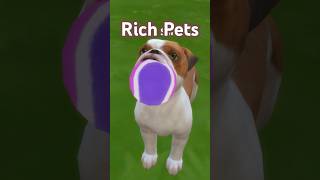 🐶 Pets can make you a lot of money in the Sims 4 - Cats & Dogs EP needed #sims4 #thesims