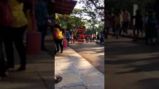 Grand  parade in esselworld