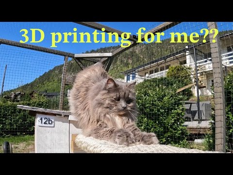 3D print and wood catio - Part 2