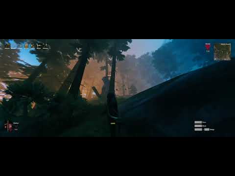 Valheim #5
