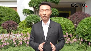 康辉@大国外交最前线，拥有千年历史的古城、商都、花城，马克龙为什么来到这里 | CCTV