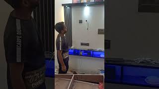 #modular #furniture #interior #shortvideos #viral  #lcd #tv   #lcd #sorts #viral #youtubeshorts