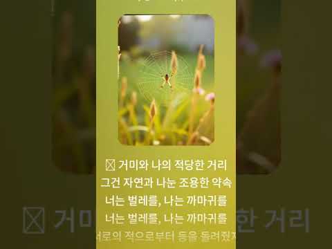 노래를 가장한 동영상 공부중요(거미는 거들뿐)  #sunoai #ai音楽 #거미라도될걸그랬어