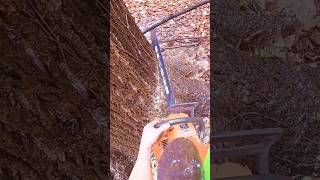 #mistakes #firsttime #bigtree