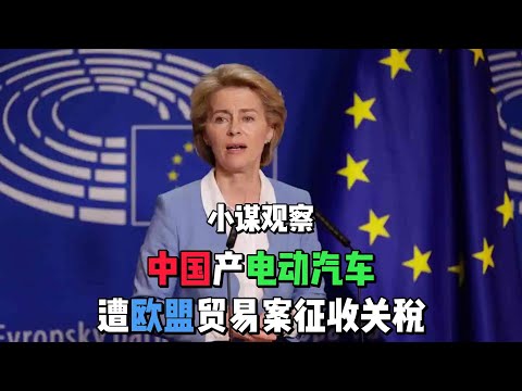 中国产电动汽车遭欧盟贸易案征收关税 #欧盟  #中国电动汽车 #选车指南