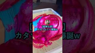 【衝撃注意】カタツムニー爆誕www【2ch面白いスレ】