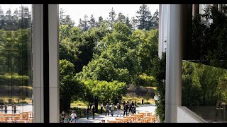 WWDC 2025: Apple's Biggest Updates Explained for iPad Users