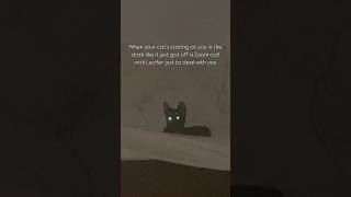 Creepy ! #kittenlife #catsofinstagram #kittenlove #pet #petsofinstagram #instamood #petsofyoutube