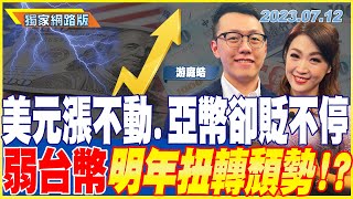 美元漲不動.亞幣卻貶不停 弱台幣明年扭轉頹勢！？ ｜金臨天下網路版20230712@tvbsmoney feat.#游庭皓