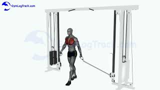 High Cable Chest Flys