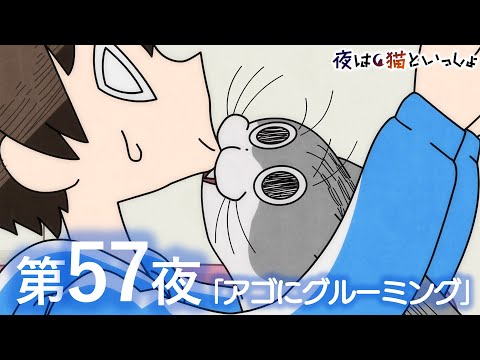 アニメ『夜は猫といっしょ』第57夜「アゴにグルーミング」