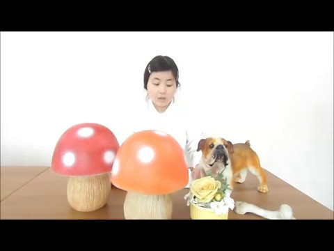 勉強を本気でやろうと思ったら