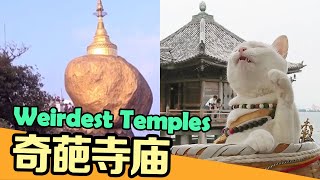 盘点全球最奇葩的4个「寺庙」！简直就是老鼠的天堂｜Top 4 Weirdest Temples