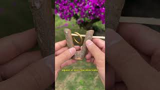 Rompecabezas topológicos para el pensamiento inverso#rompecabezas#puzzle