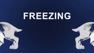 Tianji, intro to ICE AGE, motion graphic