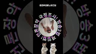 #언론장악 에 갇혀버린 #언론노조 민실위원장😢