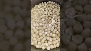 鹌鹑蛋剥皮机，蛋类剥皮机，去皮机