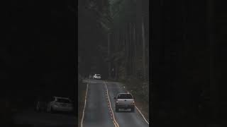 Oregon Roads pt.1 #oregon #moody #pnw #pacificnorthwest #moodygrams