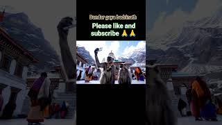 Bandar Gaya Badrinath Mandir 🤣🤣🤣😆😆😆🤣😆 please like and subscribe trending video short #anutunes