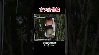 【絶滅寸前】激レア信号機5選#信号機#ばずれ #おすすめ #ナルトダンス #がたしん #新潟信号