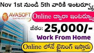 Avasoft Company Virtual/Online Walk In Interviews 2024 || Work From Home Jobs Telugu
