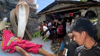 LIMANG MINUTO NALANG MUNTIK NA MAMAT*Y  DAHIL SA TUKLAW NG COBRA