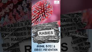 जानवरों के काटने पर क्या करें और क्या नहीं | Do's & Don'ts when bitten by animals | Dr Silky Mittal