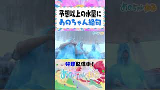 シャチの大サービスであのちゃん&男性ブランコがびしょ濡れに！？【あのちゃんねる/男性ブランコ】 #shorts