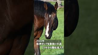 【風のたより】スプリンターズS勝ち馬ピクシーナイト #ピクシーナイト　　#グラスワンダー #スクリーンヒーロー #モーリス #スプリンターズステークス #スプリンターズステークス2021