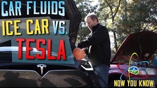 Car Fluids: Tesla vs. I.C.E. Car