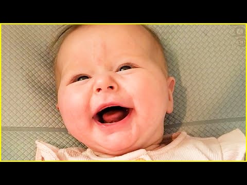 Funny Babies Laughing Hysterically Compilation #6 - Cute Baby Videos