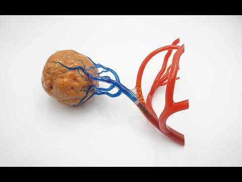 PolyJet 3D Printing Service - Multi-color Multi-material Resin 3D Printing | DEED 3D