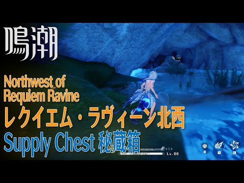 【鳴潮】秘蔵箱/リナシータ/レクイエム・ラヴィーン北西 [Supply Chest,Northwest Requiem Ravine,Rinascita,Wuthering Waves,37627]