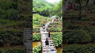 终于来到了心心念念的重渡沟！避暑仙境！竹林秘境，山涧瀑布，这个夏天必须打卡的“天然空调房”