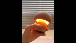 Mini Mushroom Table Lamp