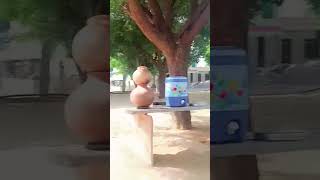 #meena#git#status #sorts #video ❤️❤️❤️