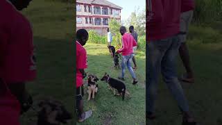 Team Philmart puppy development Centre (Ppdc) #bestofthebest  #KisumusFinest