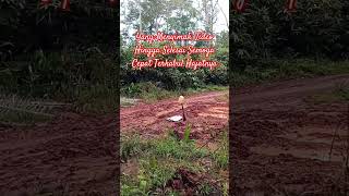 Inilah Do'a Agar Lekas Terkabul Hajatnya #papuaselatan #shortvideo #shortsviral #doapembukarezeki