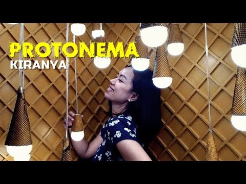 Protonema - Kiranya | KARAOKE