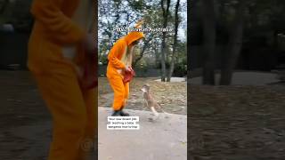 When you live in Australia #funny #funnypetschannel #funnycats #cats #pets #pethumor