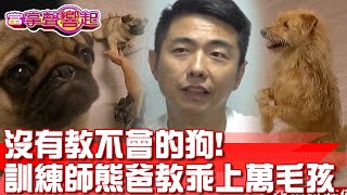 沒有教不會的狗! 訓練師「熊爸」教乖上萬毛孩靠這招 當掌聲響起 20230909