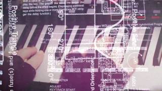 The Magnetic Fields - '81 How to Play the Synthesizer (Official Video)