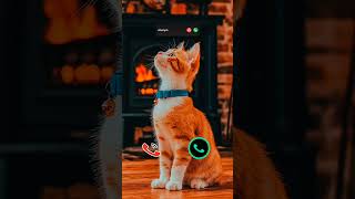 #iphone #ringtone #call #innovation #iphone15 #mobiletech #ringtones #tech #smartphone #cat