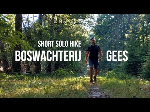 Short solo forest hike