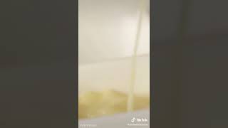 ぴよぴよ(•ө•)ひよこ蒸しパン