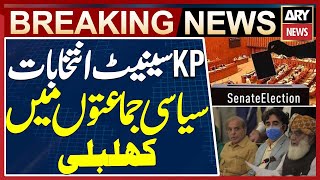 KP Senate elections: PPP strategy ready after JUI-PML-N meeting