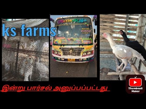 Subscriber க்கு கோழிகள் அனுப்பியாச்சு! Ks farmsDharapuram