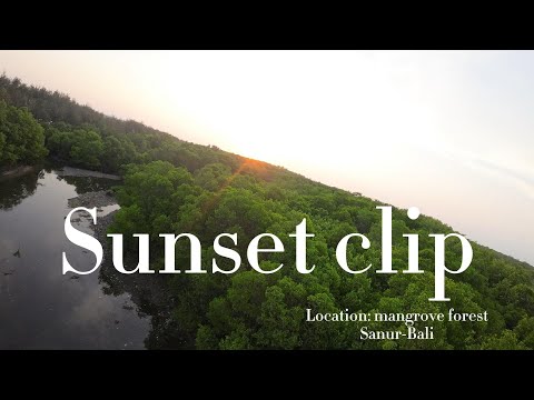 DJI AVATA daily practice-mangrove forest-Sanur-Bali