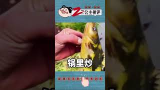 这鱼说的什么？谁给翻译一下。#搞笑评论 #搞笑 #搞笑短視頻合集 #爆笑 #神评论